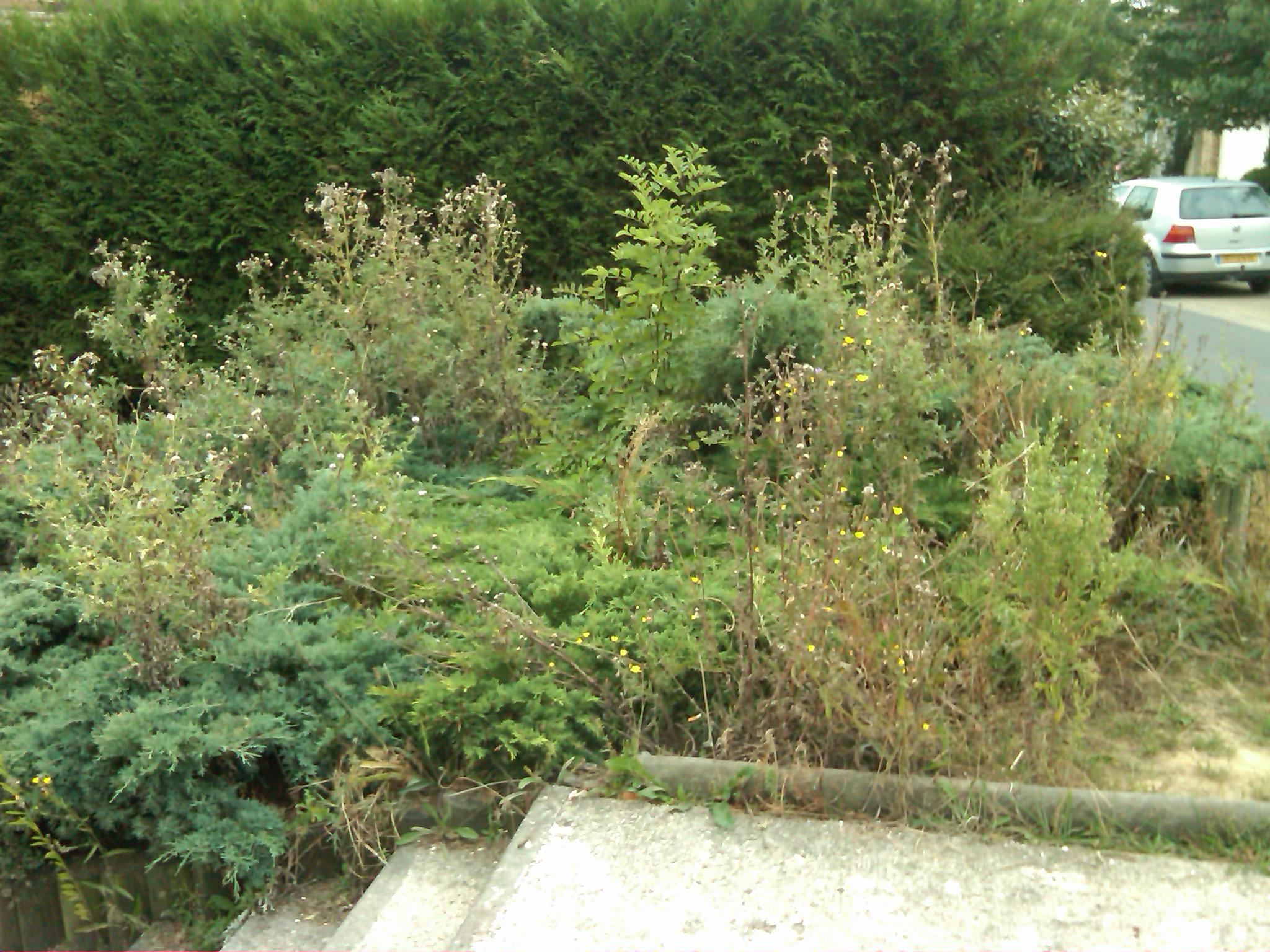 espace vert - placette