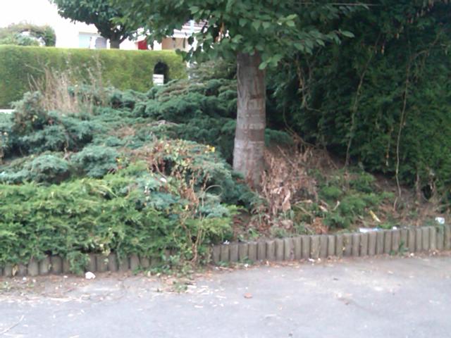 espace vert - placette